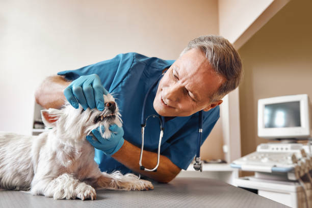 Best Pediatric Emergency Dentist in San Elizario, TX